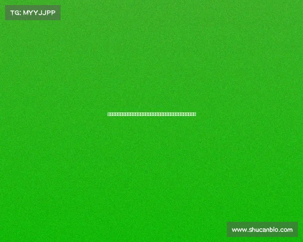 越野汽车赛事方案创新越野汽车赛事综合策划组织执行安全管理与环保实施方案