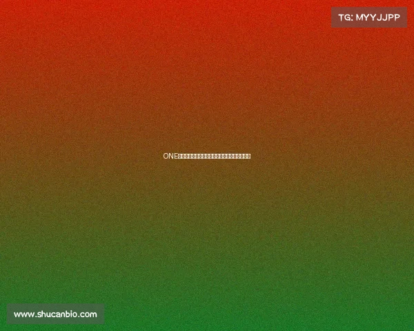 ONE究竟属于什么赛事全面深度探究与归属揭秘解析 ONE究竟属于什么赛事全面深度探究与归属揭秘解析