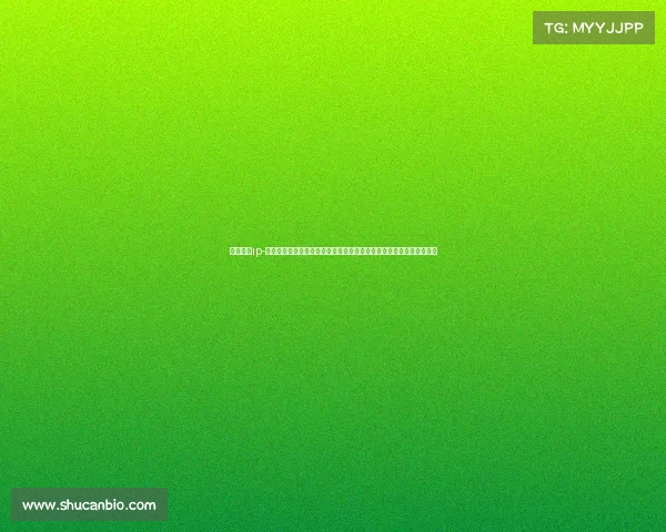 品牌赛事ip-品牌赛事积分系统构建与优化推动用户参与和品牌价值提升的关键路径