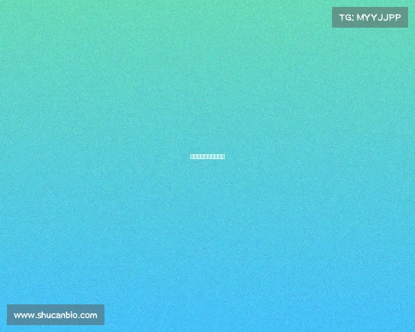 武术界最高级别的比赛