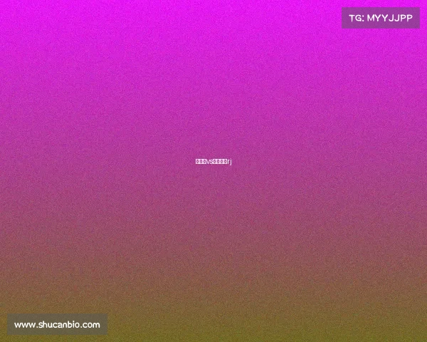 波特诺vs富明尼斯rj