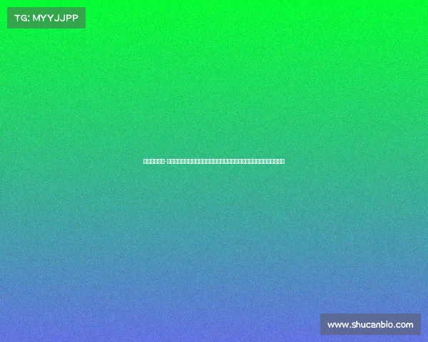 浙江女排赛事-浙江女排赛事激情绽放从小组赛到总决赛一路拼搏彰显团队精神与荣耀时刻