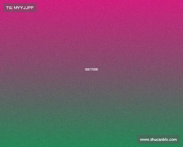 火箭队18年战绩