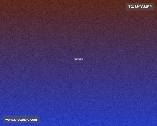 体育比赛赞助商