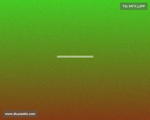 承德奥体体育赛事承德奥体活力赛场启幕，燃动激情点燃竞技盛典