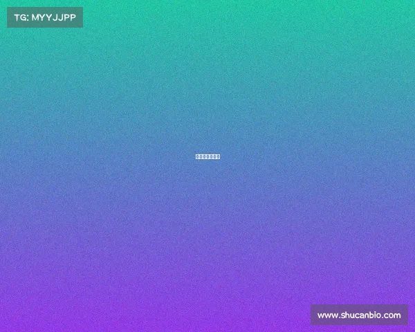 旅游卫视节目表