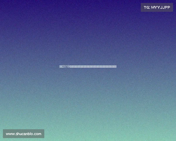 杭州2019赛事—杭州在二零一九年举办的多项体育赛事与文化盛典盛大回顾与展望